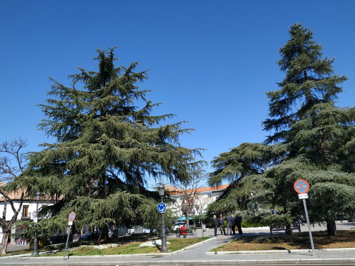 Apartamentos Deluxe Barajas Μαδρίτη Εξωτερικό φωτογραφία